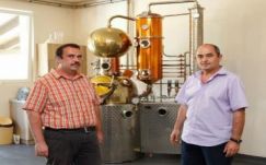 Világbajnok pálinkák Sepsiszentgyörgyről