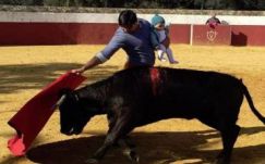 Öt hónapos kislányával a karján gyakorolt egy torreádor 