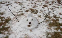 Tavaszias időjárás jön a fagyriadók után
