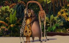 Rostás-Péter István: Hirtelen jött tavaszi aktivizmus