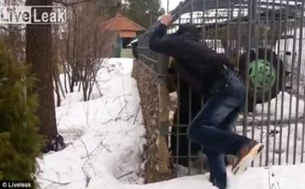 Nem volt jó poén kezet fogni a medvével