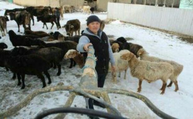 Ez minden idők legerősebb szelfibotos fotója