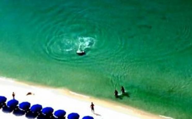 Több ezer cápa ólálkodik a floridai partoknál