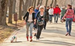 Tavaszias meleg lesz Székelyföldön is ezen a héten