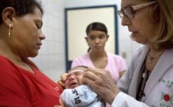 Globális vészhelyzetet hirdetett a Zika-vírus miatt a WHO