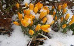 Ennyi volt az idei tél?