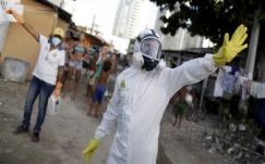 Floridában szükségállapotot hirdettek a zikavírus miatt