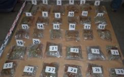 Tizenhét kilogramm marihuánával fogtak el egy férfit a rendőrök