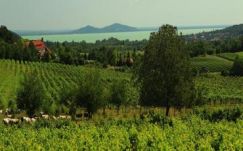 Papp Sándor Zsigmond: A megérdemelt Trianon