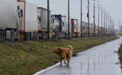 Hatalmas kamionsor alakult ki a román-magyar határon