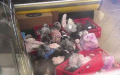 Harminc éves húst foglaltak le két konstancai üzletben