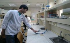 Mikrobákkal festenek a csíkszeredai Sapientián