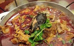 Döglött patkányt szolgáltak fel egy esküvőn