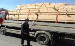 Már magyarországiak is lopják a fát Székelyföldről