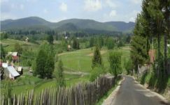 Demény Péter: Rugózás