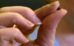 Hatszáz dolláros igazgyöngy volt a vacsorában