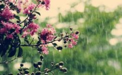 Kellemes meleggel köszönt be a meteorológiai tavasz