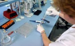 Tehéntúró terjesztette az Argeș megyei kisbabák halálát okozó baktériumot