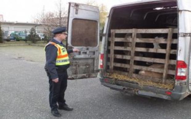 Rendőröket próbált megvesztegetni egy román férfi Nyíregyházán