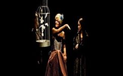 Demény Péter: Az örök strigulencia