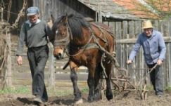 Még mindig nyomorúságosak a falusi életviszonyok Romániában