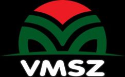 Szerbiai választások: a VMSZ átadta listáját az előrehozott parlamenti választásokhoz