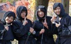 Nindzsákat alkalmaznak Japánban