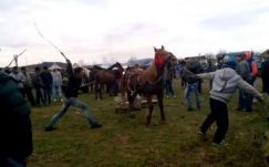 Kegyetlenül verik a lovat a vásárban – kivizsgálás indul