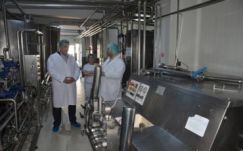 A tejterméket gyártó Lactete Brădet több alkalmazottja is E.coli-fertőzött