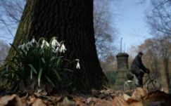 Ilyen lesz az időjárás március végéig Erdélyben