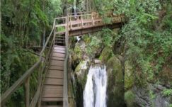 Székedi Ferenc: A székely mértan