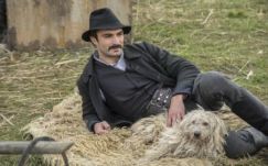 Móricz Zsigmond és Sinka István műveiből készült filmet mutat be a Duna