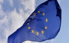 Székedi Ferenc: A gyökerek