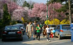 Az év eddigi legmelegebb napjai következnek