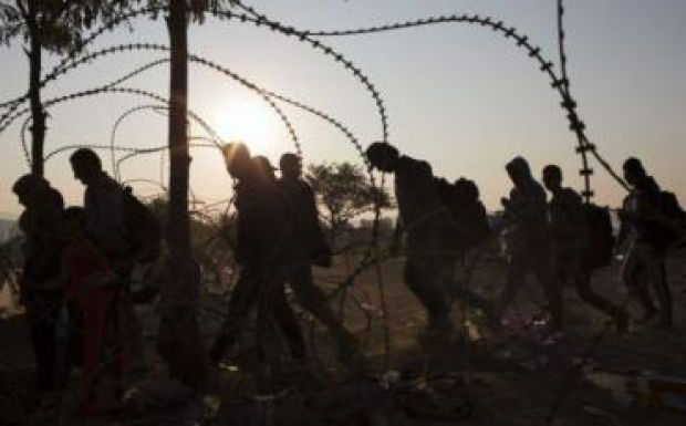 Nyolc illegális bevándorlót fogtak a szerb-román határon