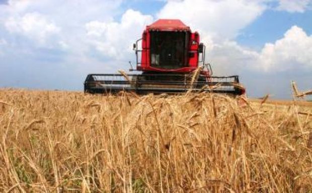 Lerombolt mítosz: Románia soha sem volt Európa éléstára