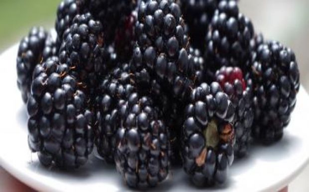 Ágoston Hugó: Felkérés ugrálásra