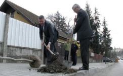 Marosvásárhelyen faültetési akció lett a tanácsülésből