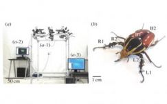 A jövő a számítógéppel vezérelt rovaroké lehet