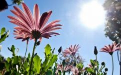 Júniusi időjárás lesz a hét első felében