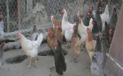 Bogdán Tibor: Percek, évezredek