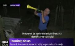 Virrasztanak egy román falu lakói a háziállataikat elpusztító medve miatt