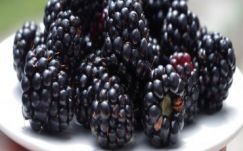 Ágoston Hugó: Felkérés ugrálásra