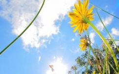 Száraz és meleg lesz az idő a hét végén