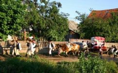 Orbán Balázs nevét viselő dokumentációs fotótábor Lövétén