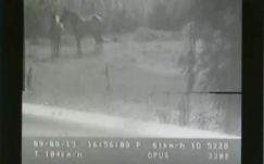 Óriásit bakizott a román rendőrség egyik traffipaxa