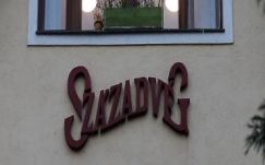 Krebsz János: Vastag bőr