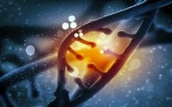 Sci-fi a köbön: DNS-ben tárolna adatokat a Microsoft