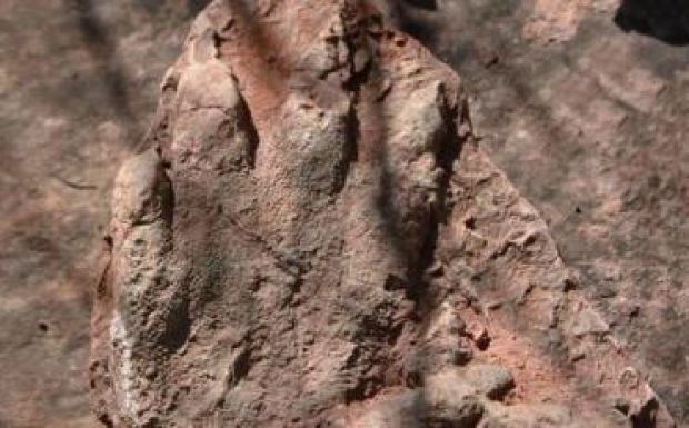 A dinoszauruszok ősére bukkantak Spanyolországban