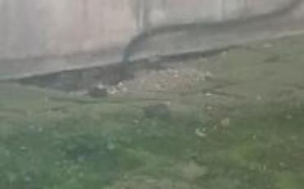 Patkányokat filmeztek egy megyei kórházban